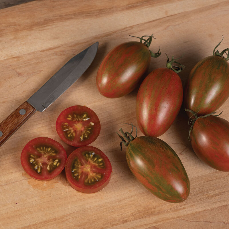 Bronze Torch Specialty Tomatoes