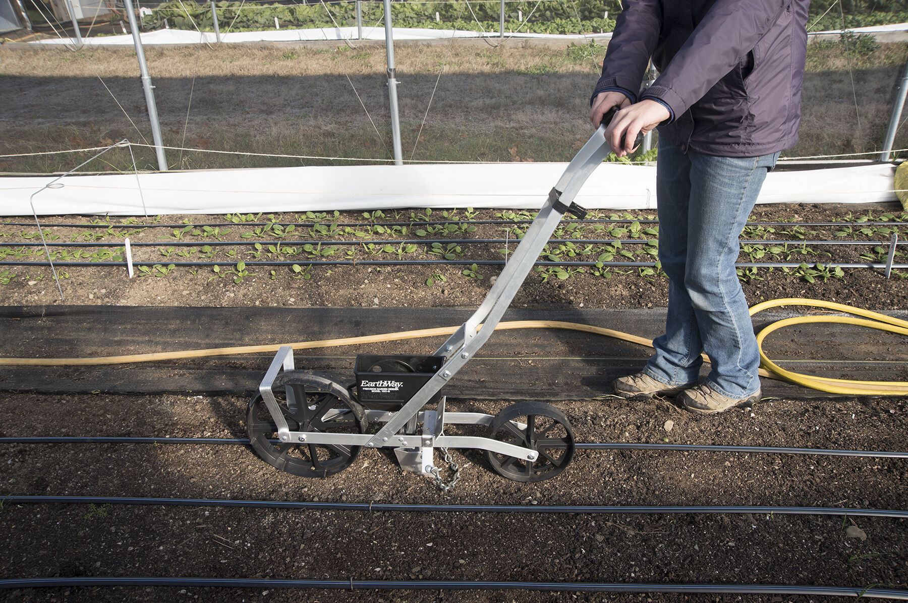 Earthway seeder cheap