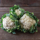 Tessaury Standard Cauliflower