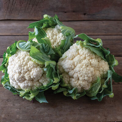 Tessaury Standard Cauliflower