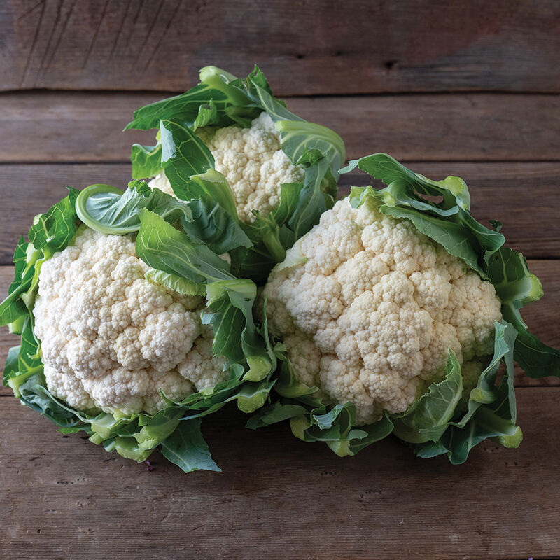 Tessaury Standard Cauliflower