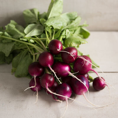 Bacchus Bacchus Round Radishes