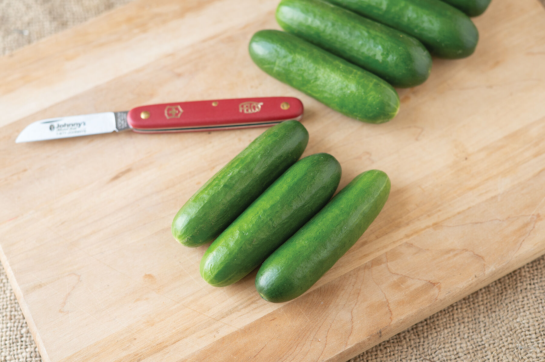 【cucumber】 Cucumber, Straight Eight Organic Seeds | Organic Cucumbers