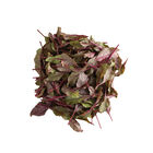 Bull's Blood Beet Greens