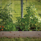 Cedar Raised Garden Bed – 3' x 6' Raised Beds & Planters