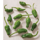 Padron Hot Peppers
