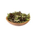 Red Saladbowl Oakleaf Lettuce