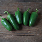 SVHJ5816 Hot Peppers