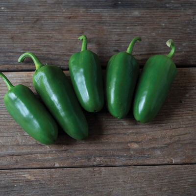 SVHJ5816 Hot Peppers
