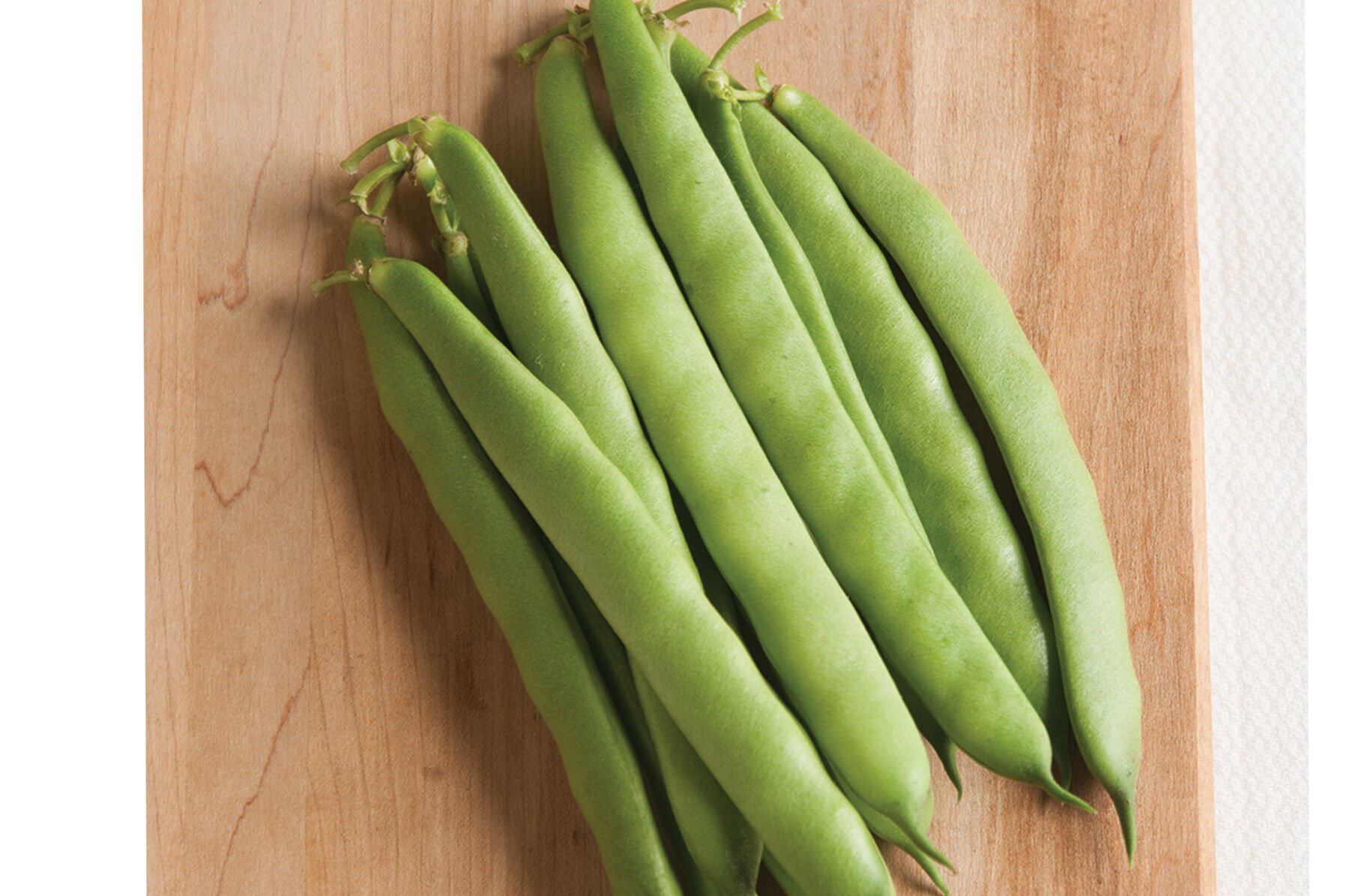 Bean Seeds - Organic & Heirloom Varieties | Johnny's