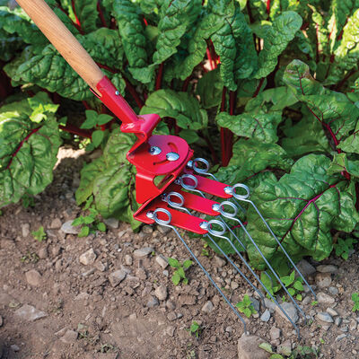 Tine Harrow &ndash; 6" Tine Weeders