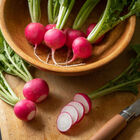 Pink Celebration Round Radishes