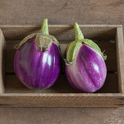 Rosa Bianca Rosa Bianca Italian Eggplants