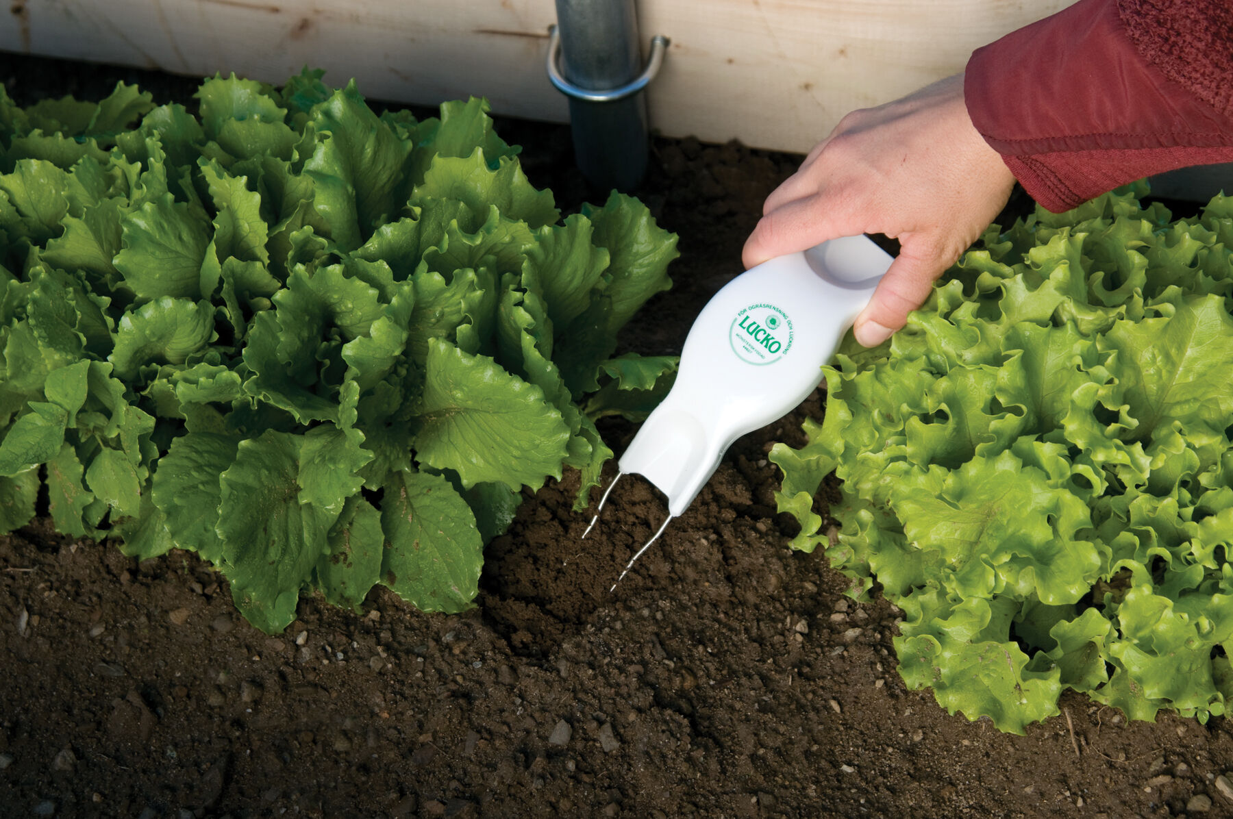 Wire weeder online