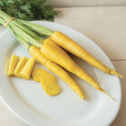 Yellow Moon Colored Carrots