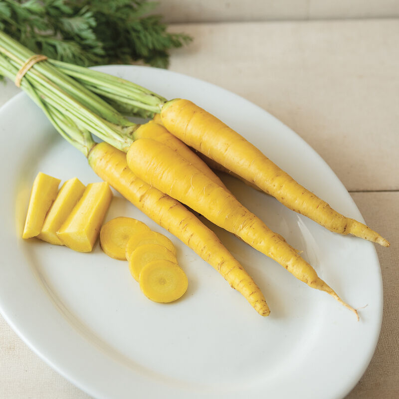 Yellow Moon Colored Carrots