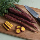 Purple Elite Colored Carrots