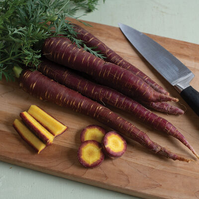 Purple Elite Purple Elite Colored Carrots