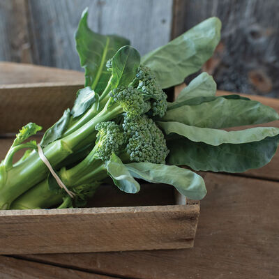 Sweet Bunch Mini Broccoli