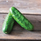 Chaperon Pickling Cucumbers