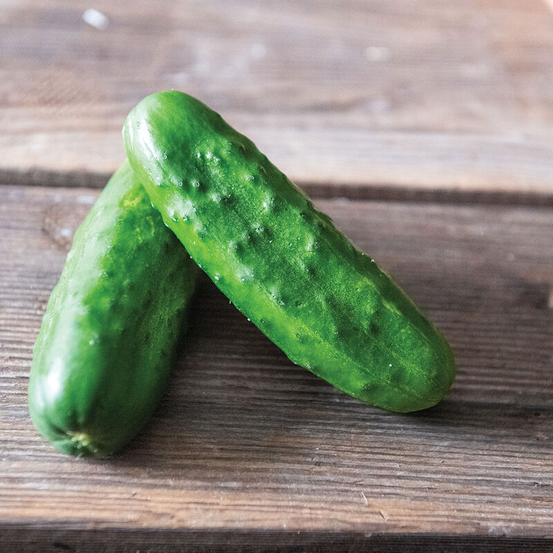 Chaperon Pickling Cucumbers