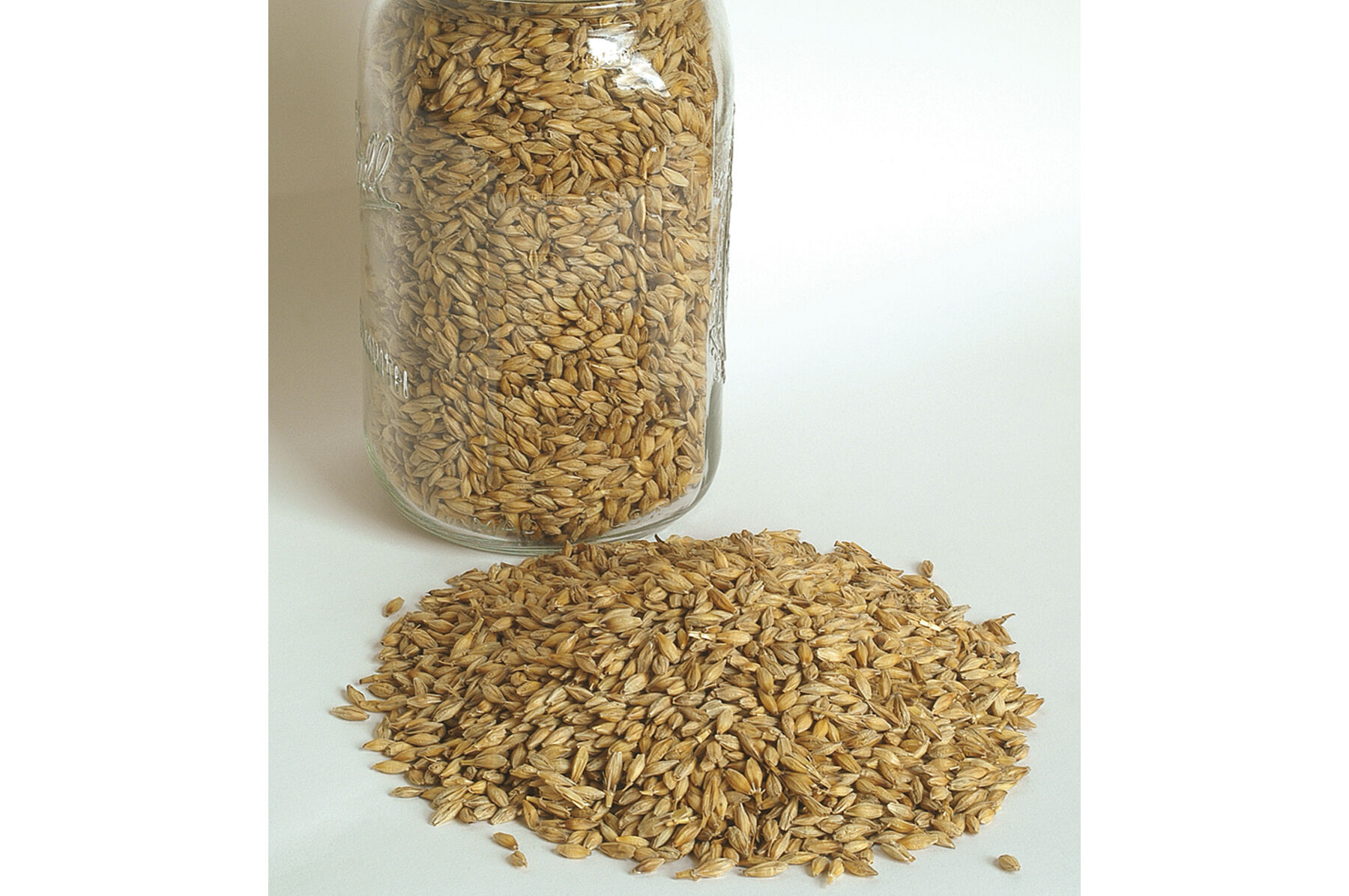Barley (Robust) Barley