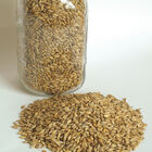 Barley (Quest) Barley (Quest) Barley