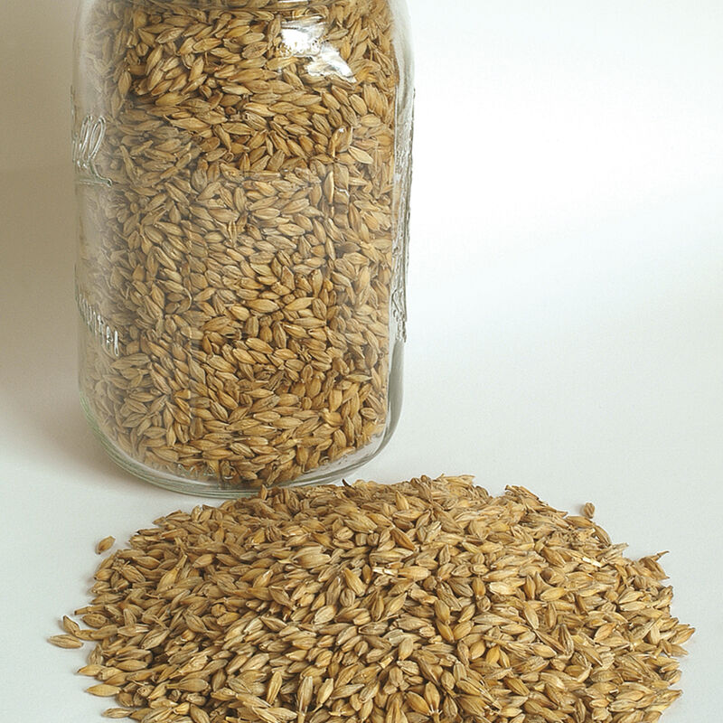 Barley (Robust) Barley (Robust) Barley