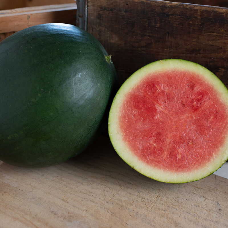 Chubbiness Triploid Watermelons (Seedless)