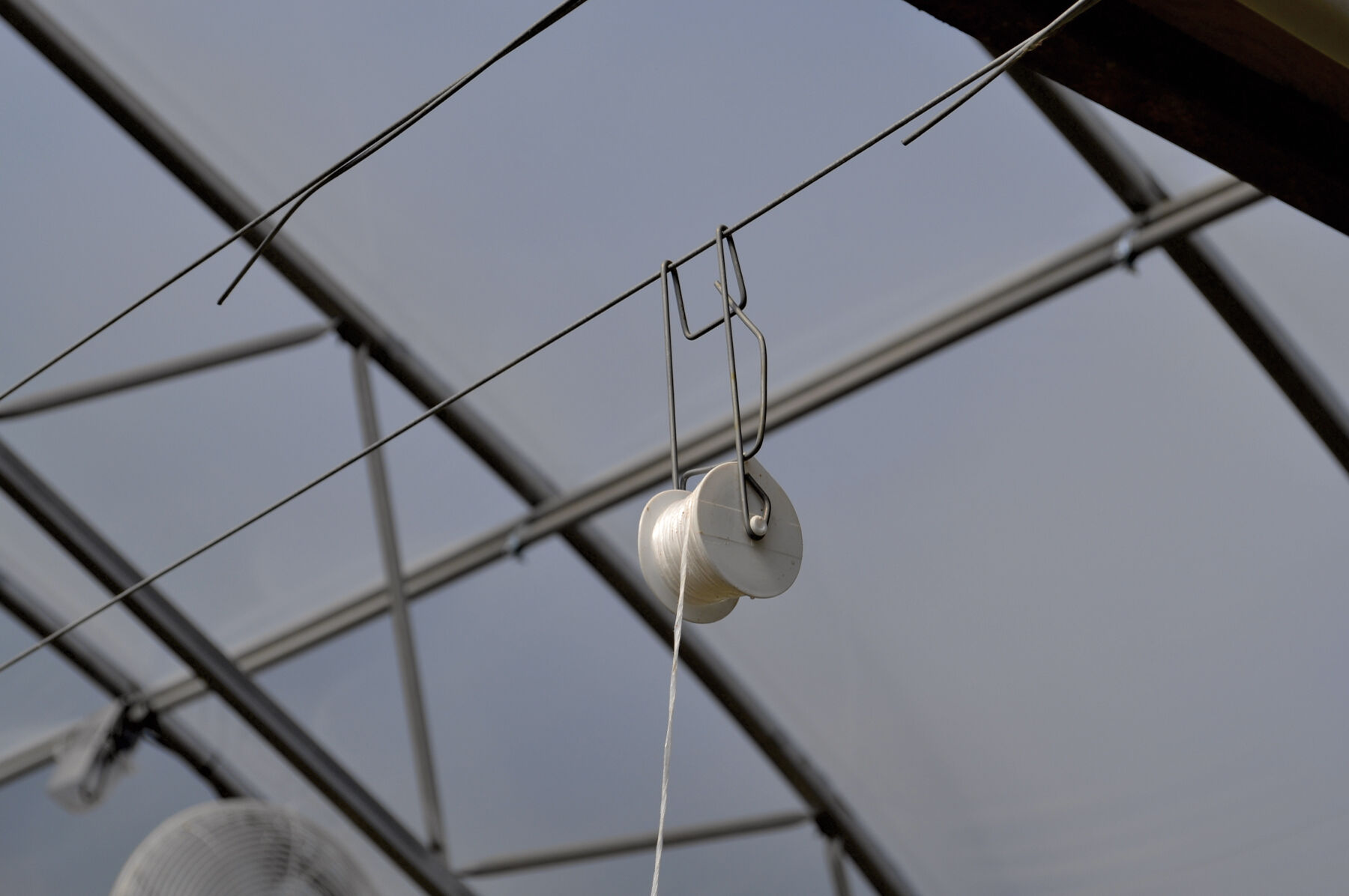 Rollerhook&reg; &ndash; 25 Count Rollerhook&reg;