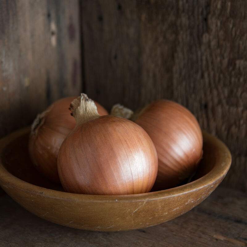 New York Early Full-Size Onions