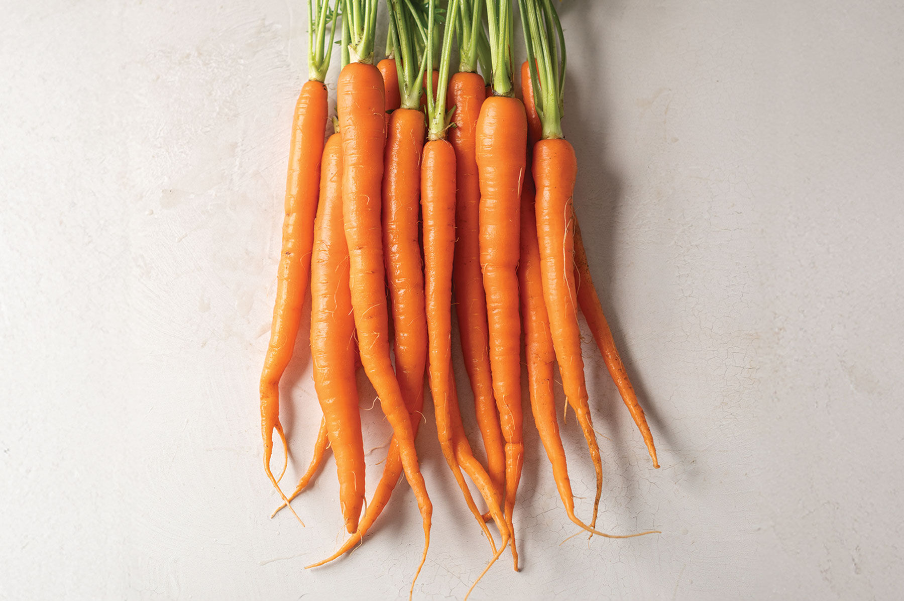 Buy Organic Carrot Imperator Vegetable Seed Online