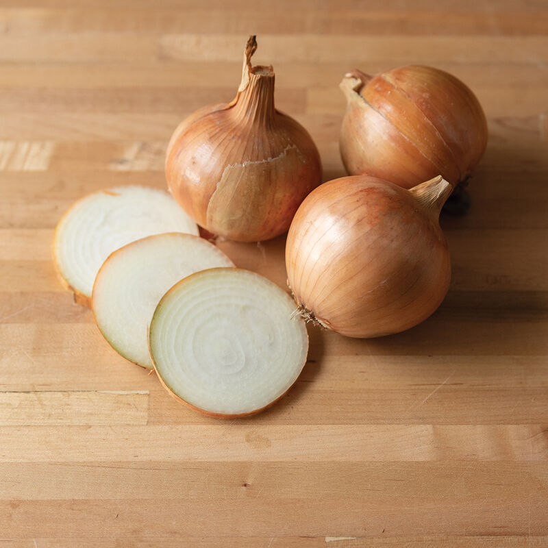 Elsye Full-Size Onions