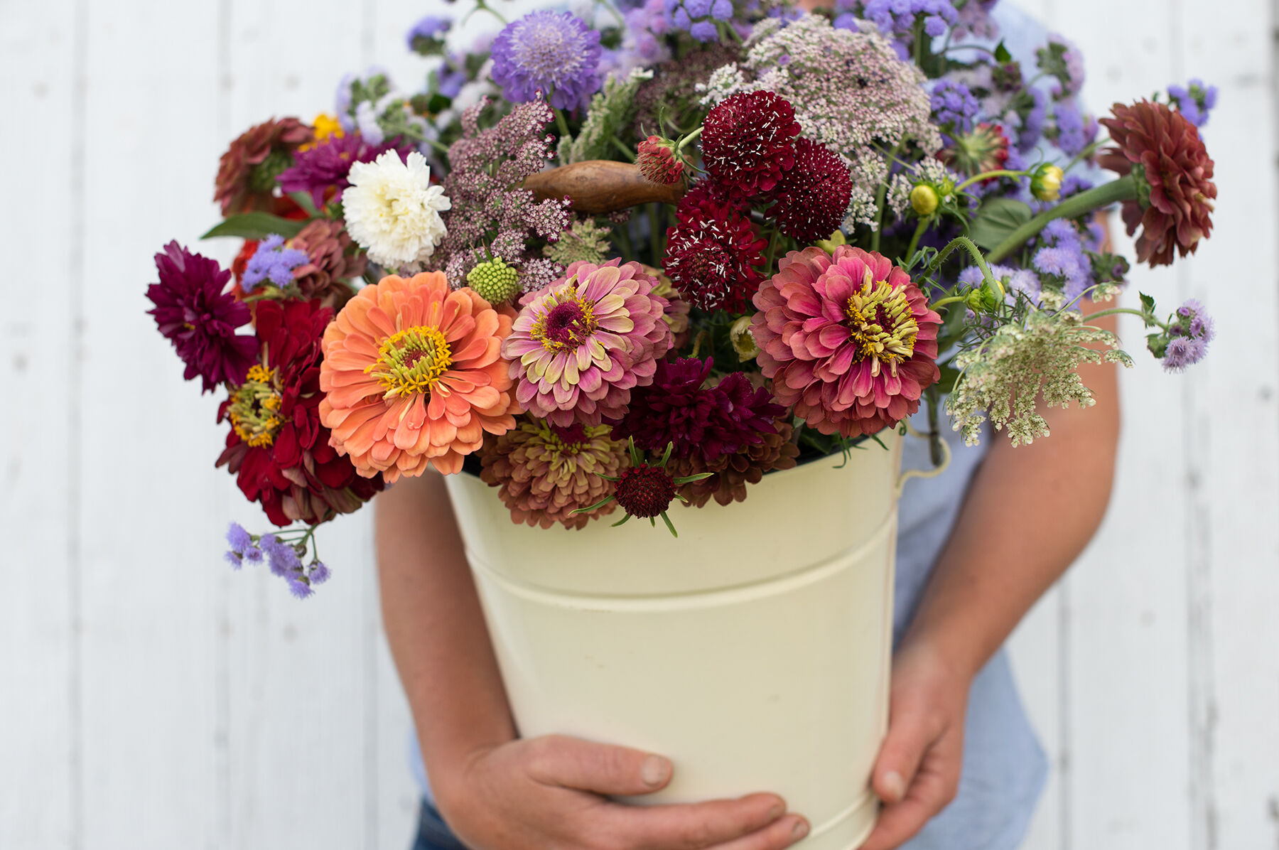 Easy Cut-Flower Garden Set Sets