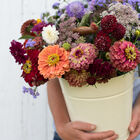 Easy Cut-Flower Garden Set Easy Cut-Flower Garden Set Sets