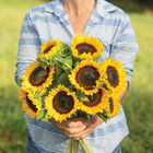 Sunbright Tall Sunflowers
