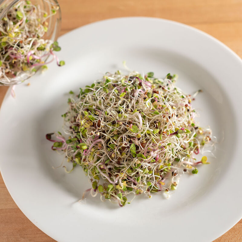 Organic Cress seeds for Sprouts