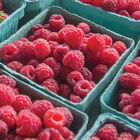 Boyne Raspberry