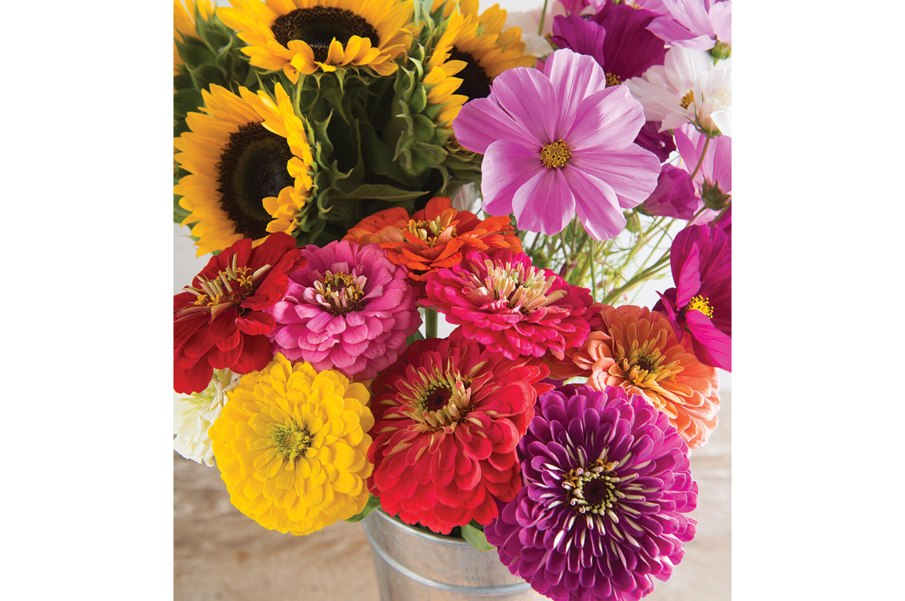 Cut Flower Kit for Market Growers Flower Collections and Mixes