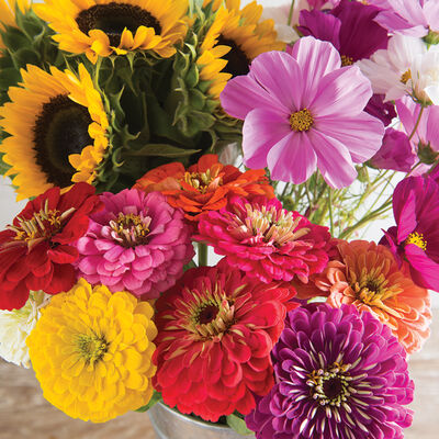 Cut Flower Kit for Market Growers Flower Collections and Mixes