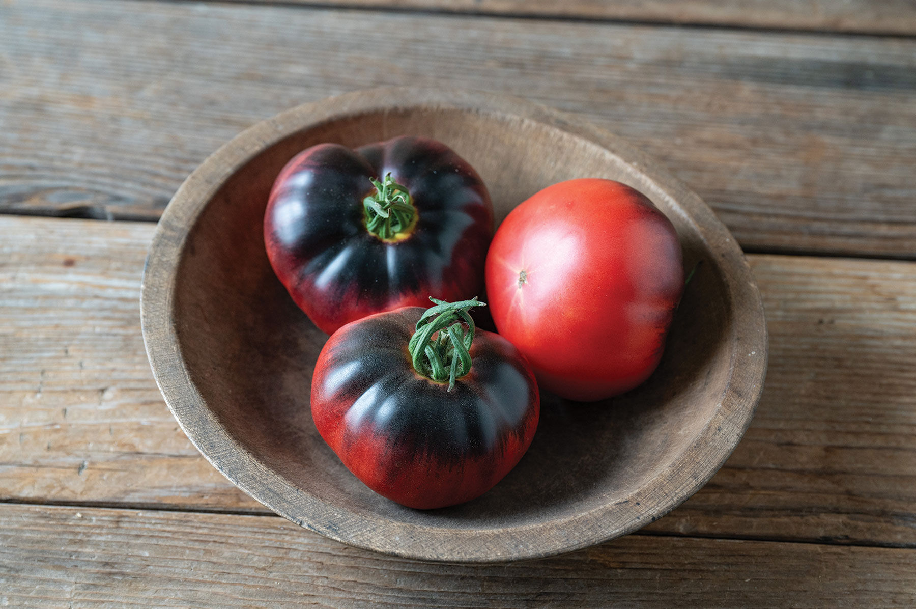 Blue Tonic - Indigo Tomato Seeds | Johnny's Selected Seeds