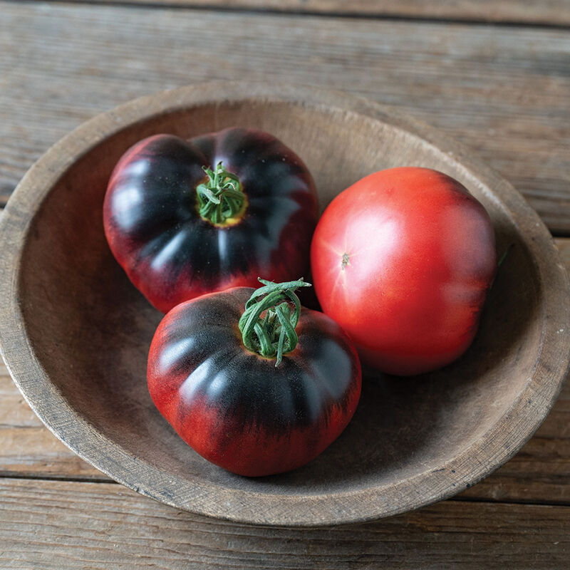Blue Tonic Slicing Tomatoes