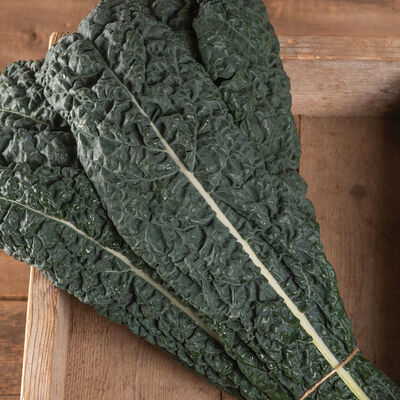 Mamba Mamba Kale