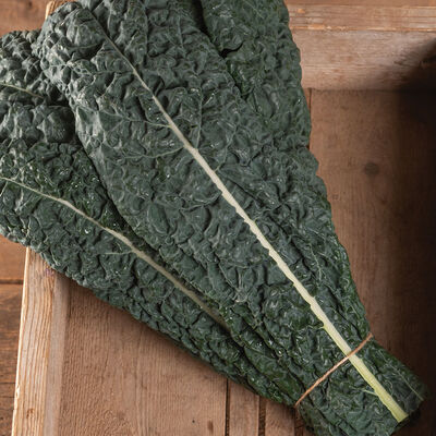 Mamba Mamba Kale
