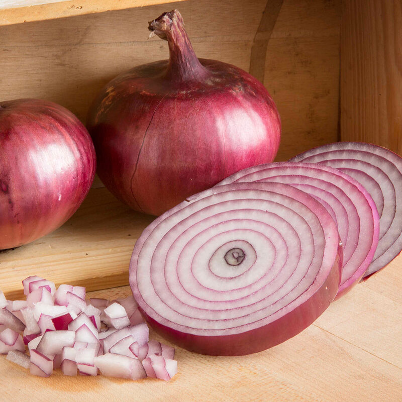 Monastrell - Organic (F1) Onion Seed