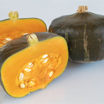 Bonbon Winter Squash