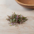 Amaranth, Bicolor Microgreen Vegetables