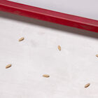 Seed Plate E128 Seed Starting Supplies