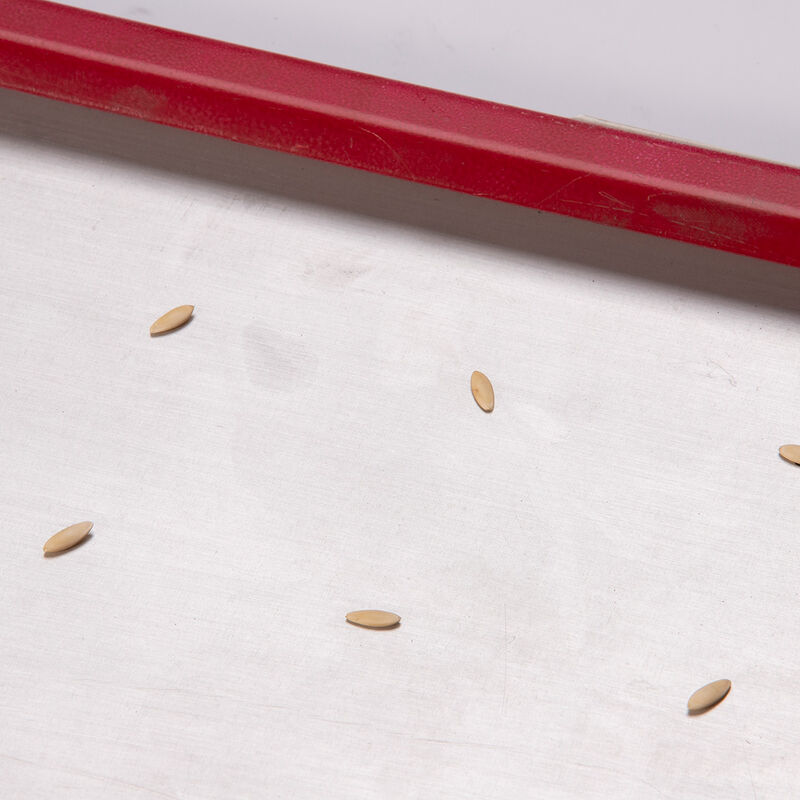 Seed Plate E128 Seed Starting Supplies