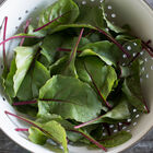 Fresh Start Beet Greens